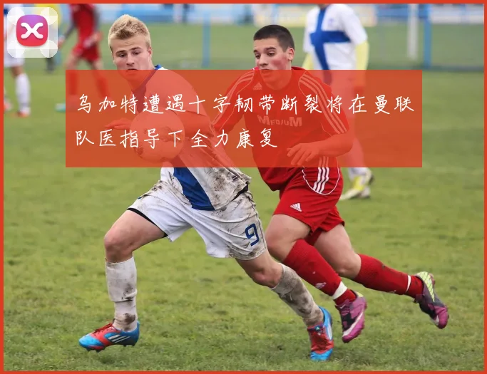 乌加特遭遇十字韧带断裂将在曼联队医指导下全力康复