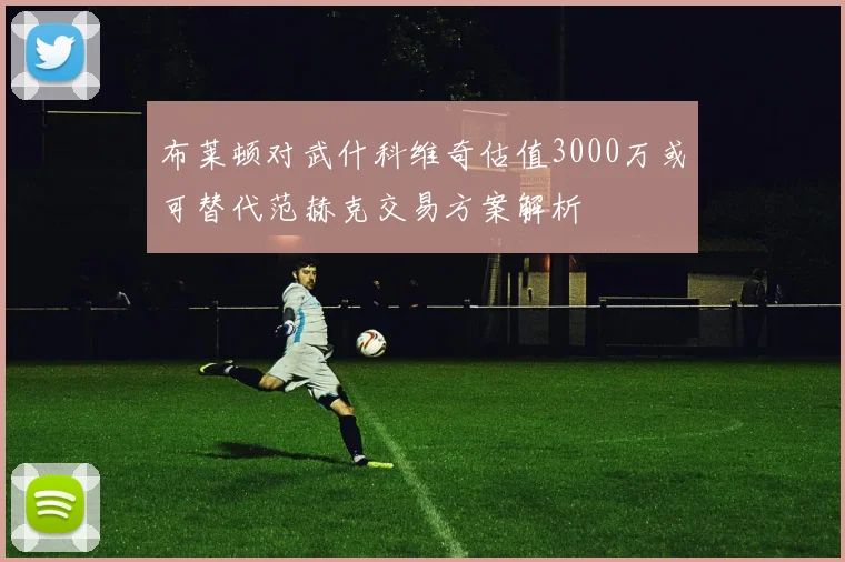 布莱顿对武什科维奇估值3000万或可替代范赫克交易方案解析